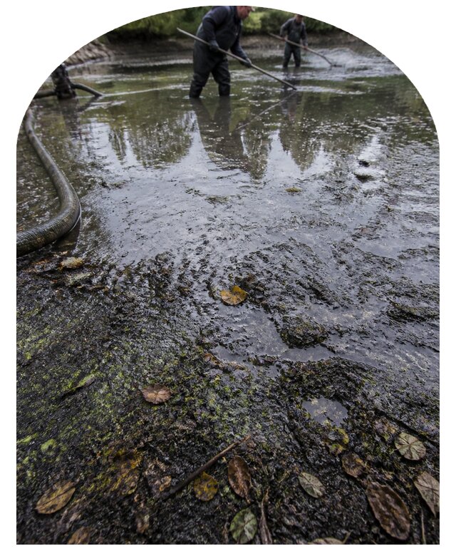 Очистка пруда в Саяногорске от ила мусора и водорослей с вывозом